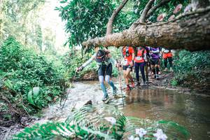 BIB: 
                            <button type="button" onclick="openModal(25477013)" class="btn btn-primary btn-sm float-right btn-popup" data-toggle="modal" data-target=".modal-high-quality">
                        <i class="fas fa-shopping-cart"></i> Add to Cart
                    </button>
                                            <button type="button" onclick="isThisMe(25477013, true)" class="btn btn-success btn-sm float-right btn-popup btn-isme hidden" data-toggle="tooltip" data-placement="bottom" title="นี่คือรูปของคุณใช่ไหม คลิกที่นี่เพื่อเอาเข้าอัลบั้ม">
                        <i class="fas fa-plus"></i> Add to album
                    </button>
                    <button type="button" onclick="isThisMe(25477013, false)" class="btn btn-warning btn-sm float-right btn-popup btn-isnotme hidden">
                        <i class="fas fa-ban"></i> Remove from album
                    </button>